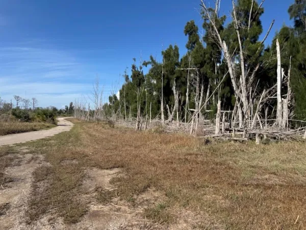 $187,000 | 75 Green Dolphin Drive North, Placida, FL 33946