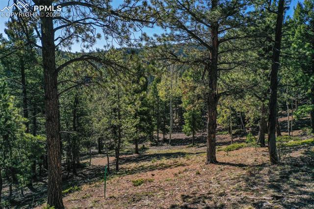 1100 Elk Ridge South Divide, CO 80814 - Photo 19 of 34