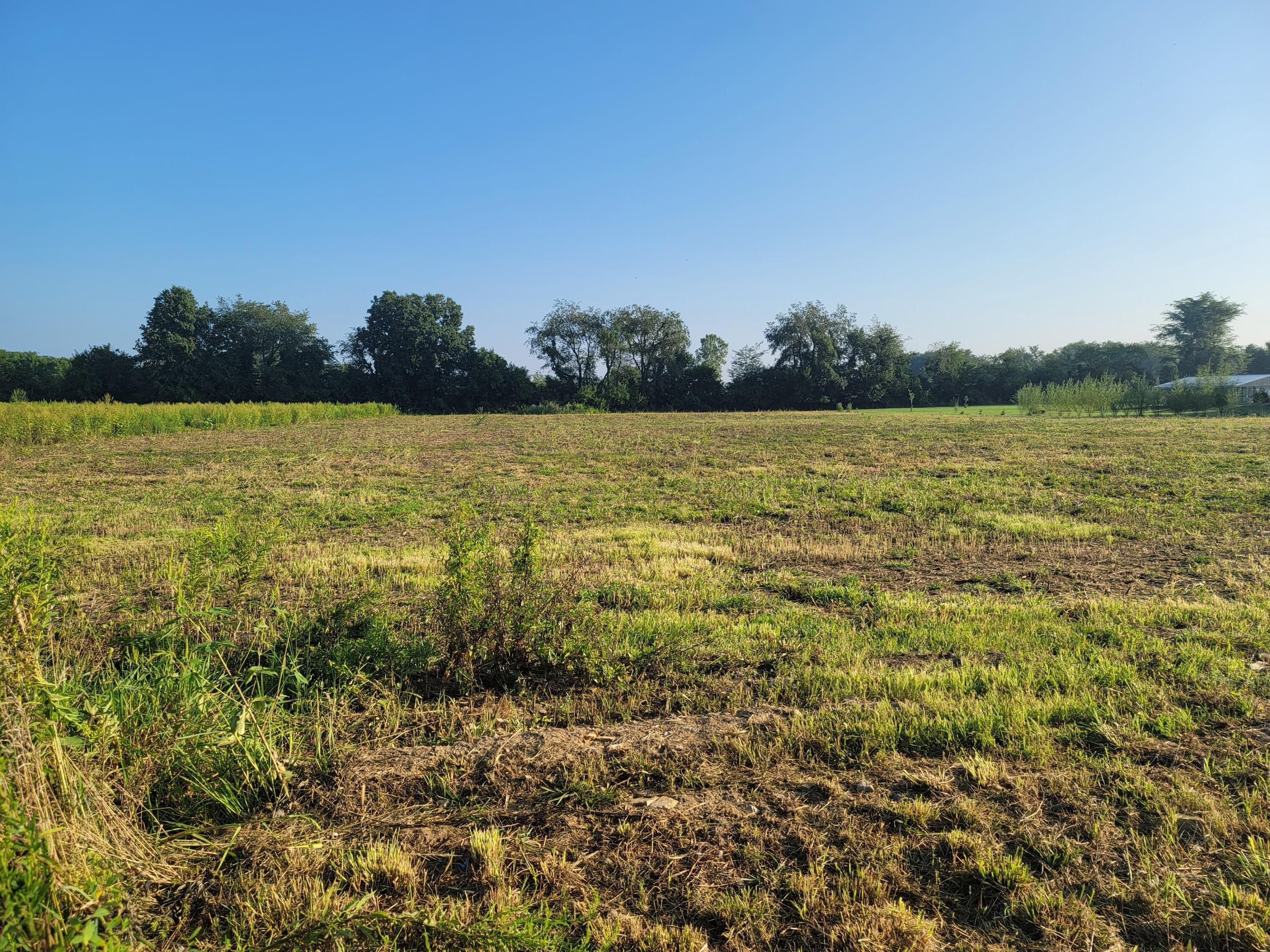 0 Wilson Road Sunbury, OH 43074 - Photo 2 of 8