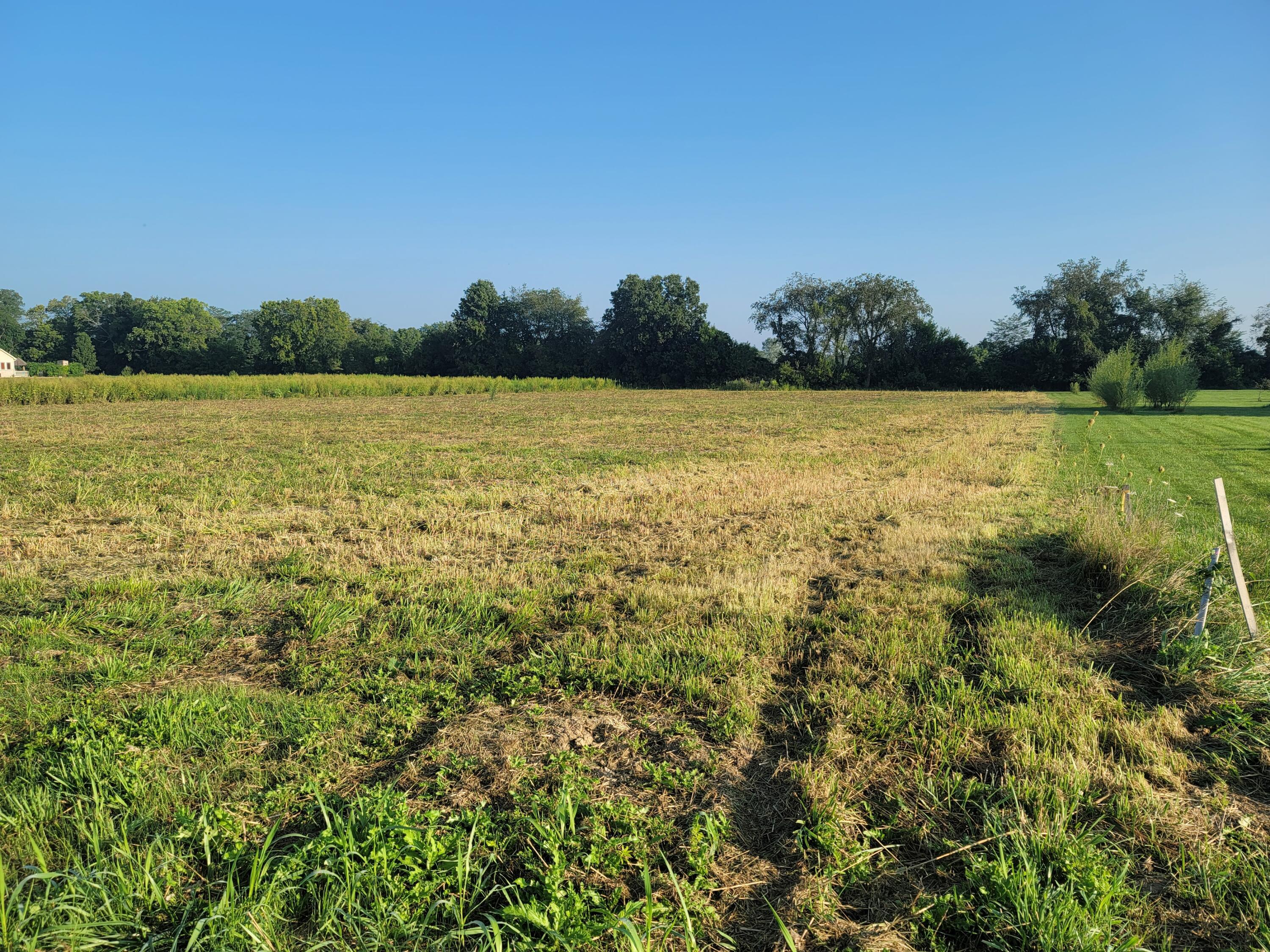 0 Wilson Road Sunbury, OH 43074 - Photo 3 of 8