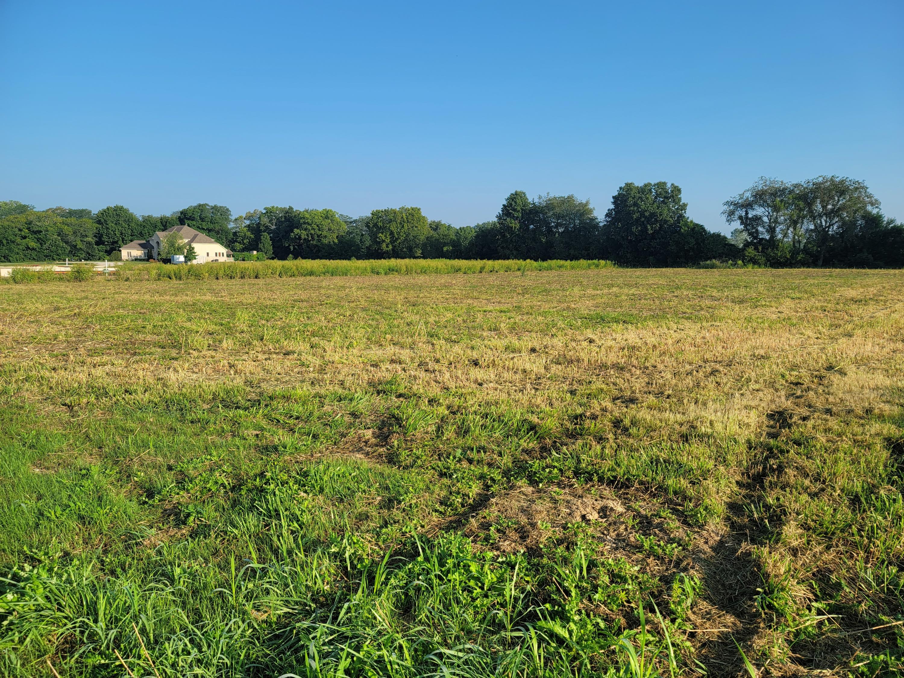 0 Wilson Road Sunbury, OH 43074 - Photo 4 of 8