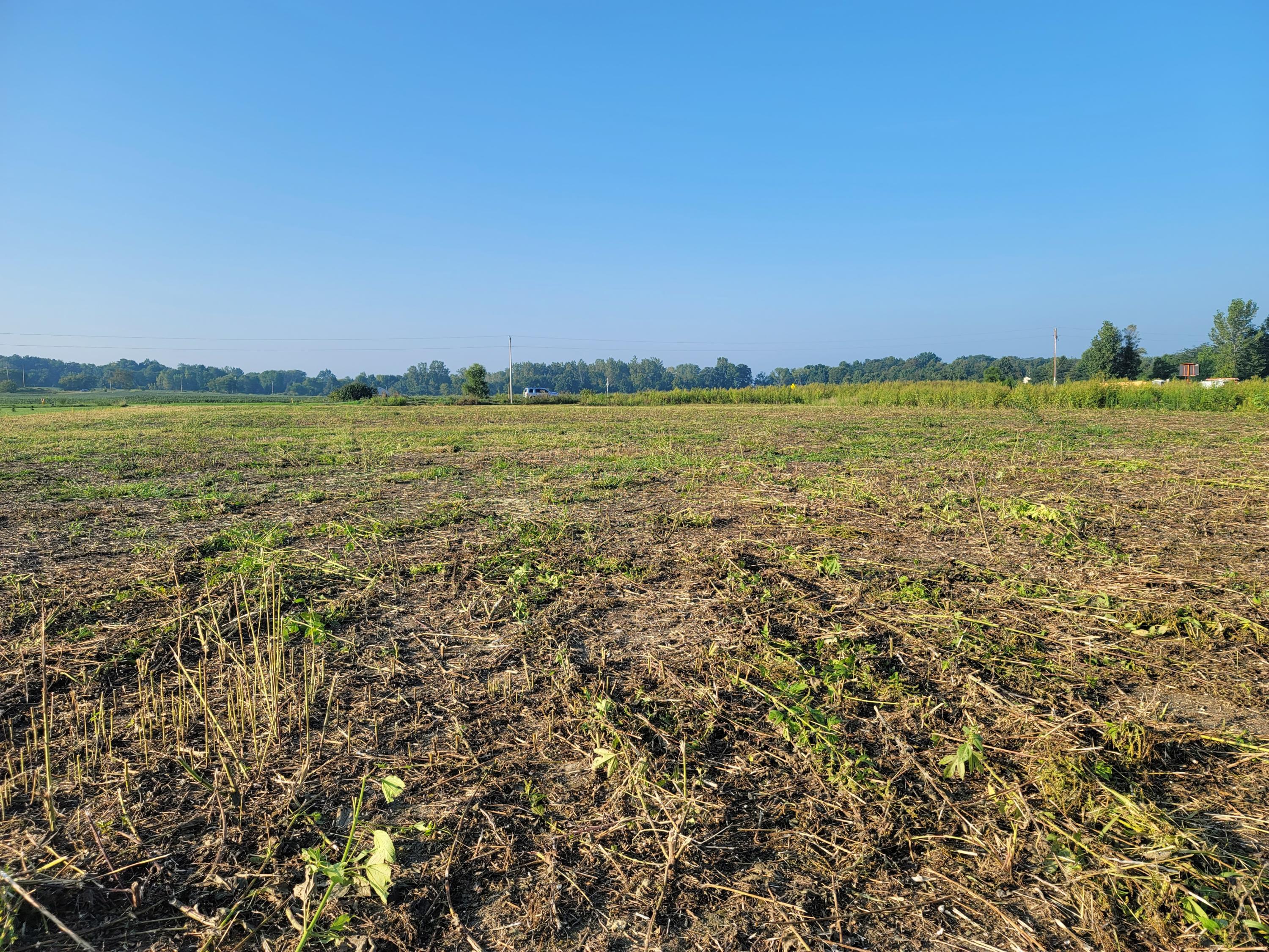 0 Wilson Road Sunbury, OH 43074 - Photo 7 of 8