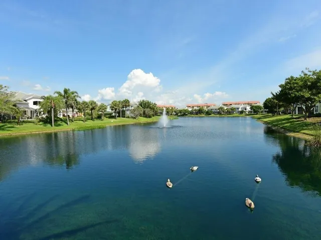 a view of a park with palm trees