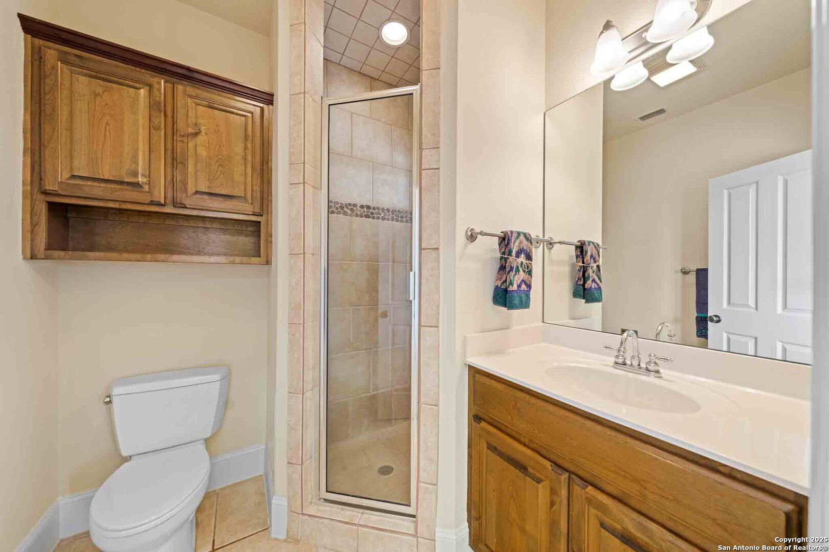 211 Mill Dam Road Comfort, TX 78013 - Photo 36 of 61 a bathroom with a sink a toilet and shower