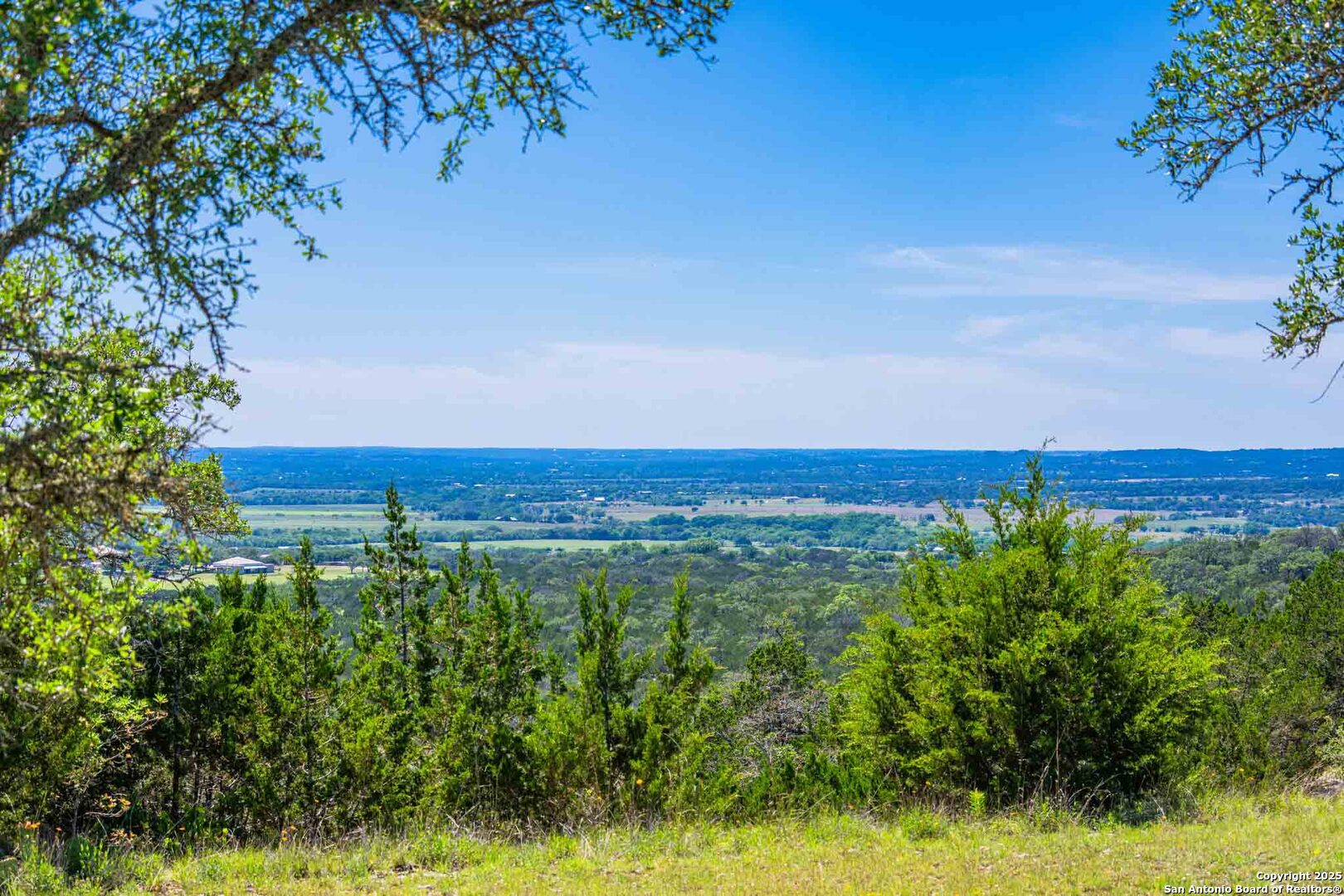 211 Mill Dam Road Comfort, TX 78013 - Photo 4 of 61 a view of a yard with an trees