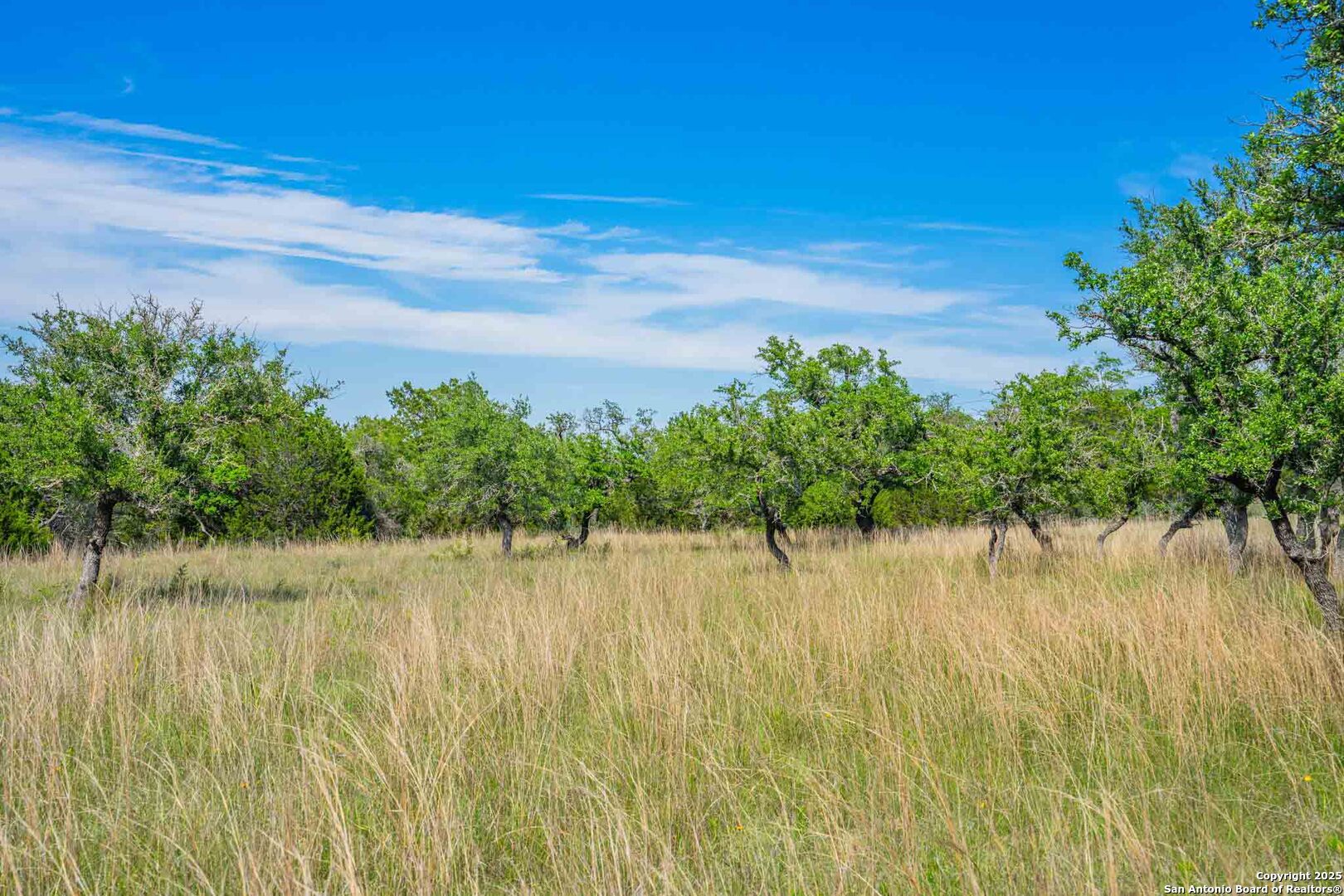 211 Mill Dam Road Comfort, TX 78013 - Photo 59 of 61 a view of a lake
