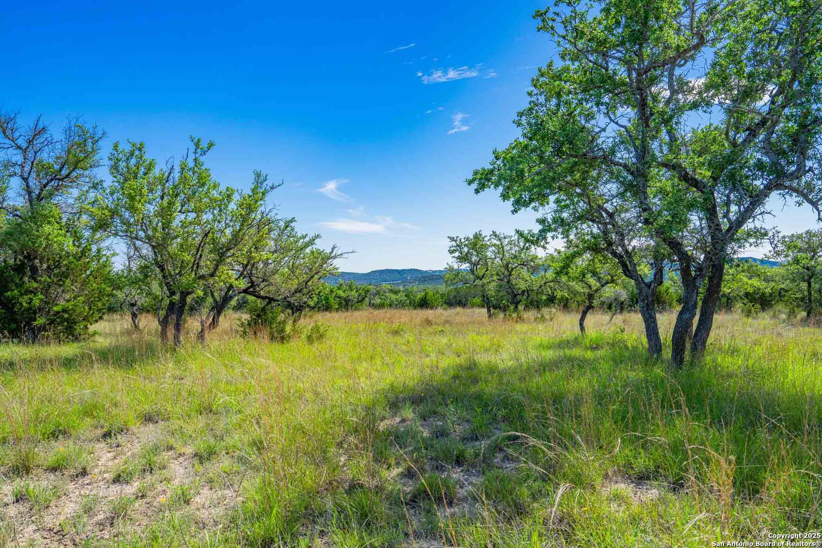 211 Mill Dam Road Comfort, TX 78013 - Photo 60 of 61