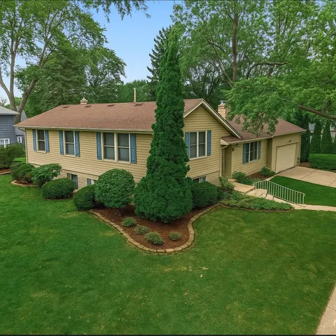 a view of a house with a big yard potted plants and large tree