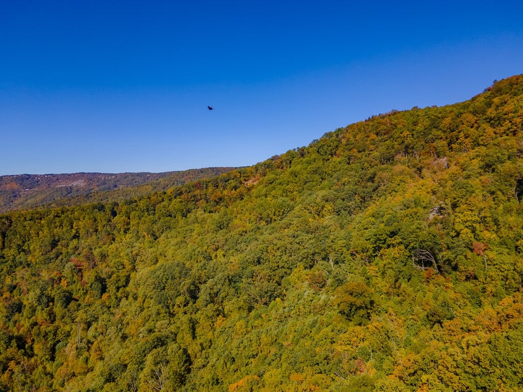 Lot 93 Reflections Point Trail, Unit 93 Fancy Gap, VA 24328 - Photo 87 of 92 Gallery Image 87
