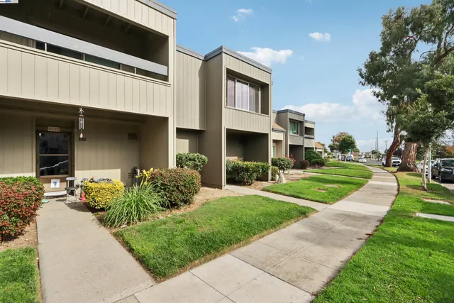 a front view of a house with a yard and potted plants