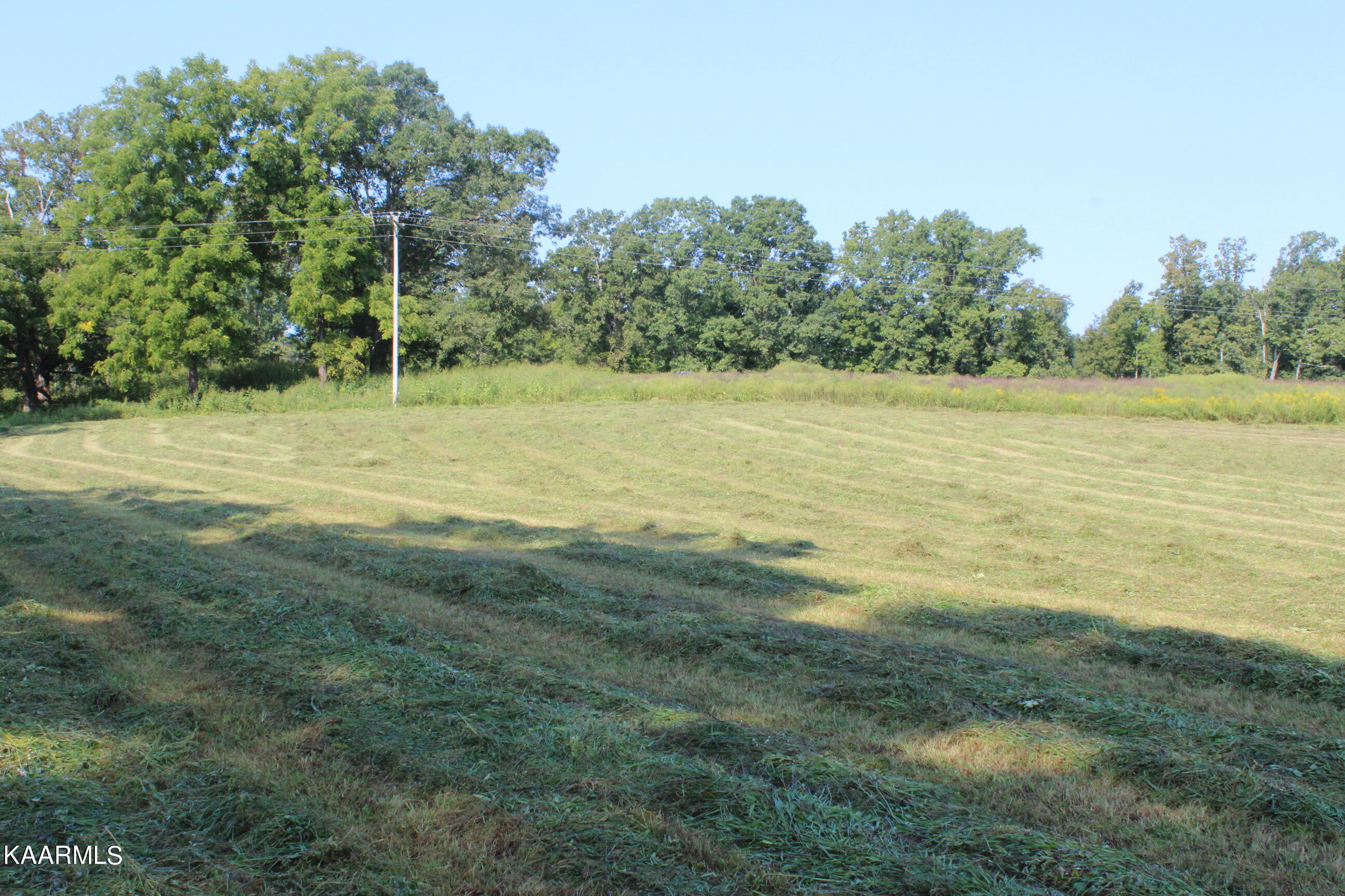 2925 Stockton Road Jamestown, TN 38556 - Photo 5 of 5 005