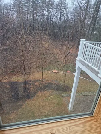 a view of a yard from a window