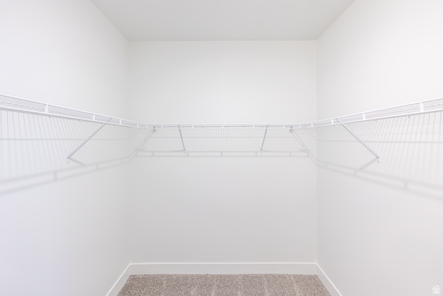 4727 South 690th West, Unit W204 Mapleton, UT 84664 - Photo 8 of 16 Walk-in closet featuring wire shelving and neutral-toned carpeting