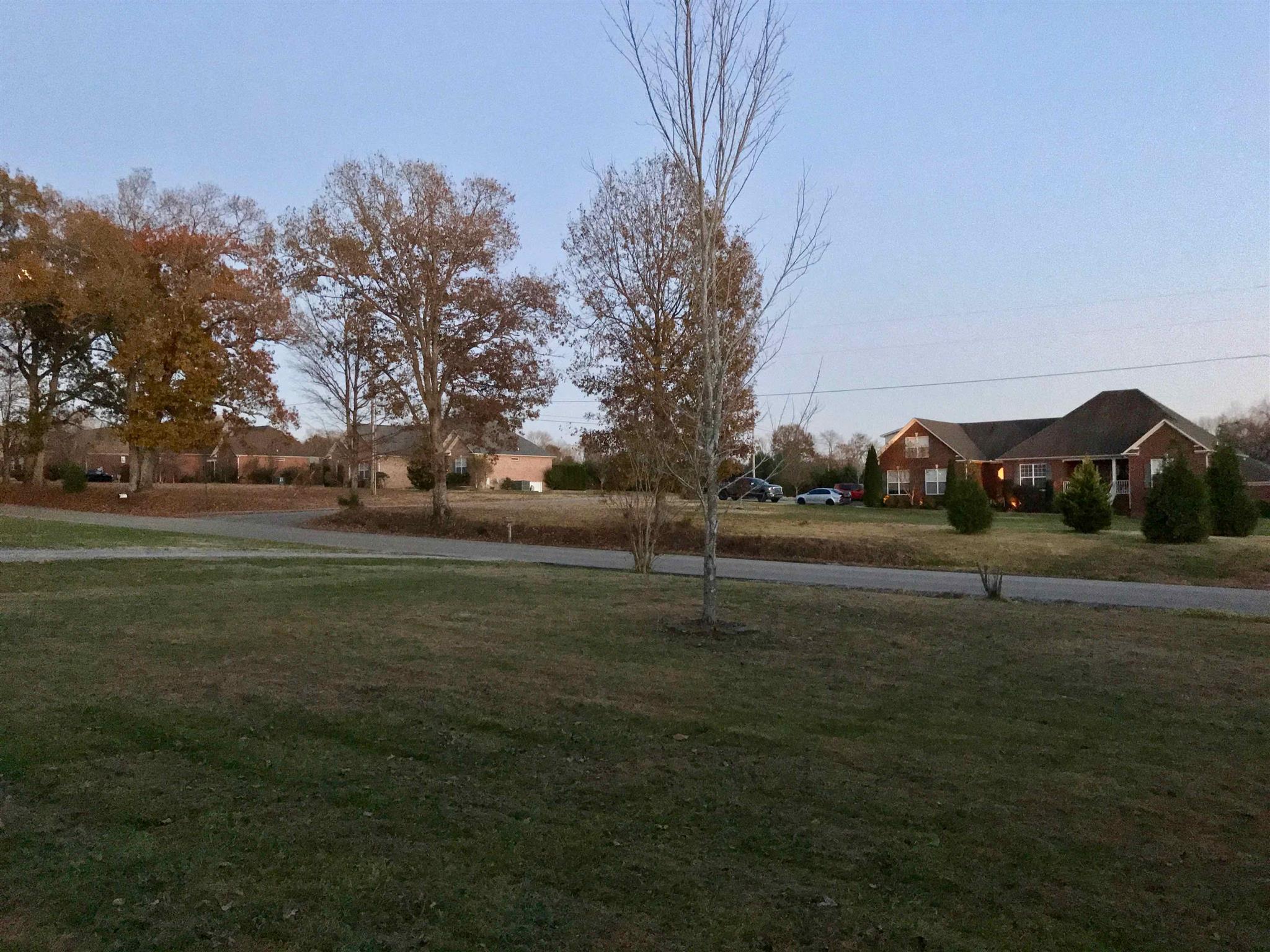 1955 Lasea Road Spring Hill, TN 37174 - Photo 3 of 21 a backyard of a house with lots of green space
