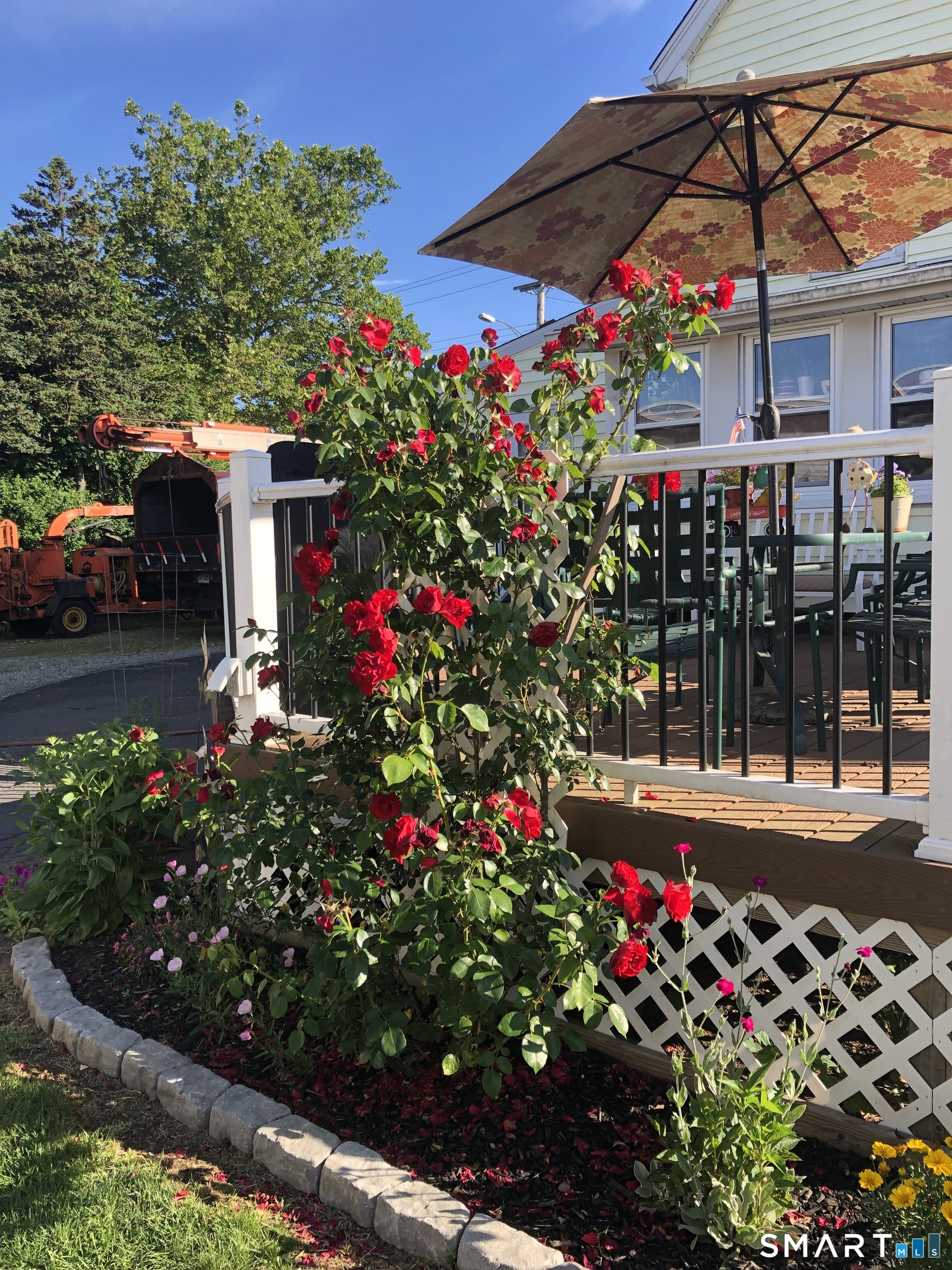 15 Oregon Avenue Hamden, CT 06514 - Photo 14 of 16 a bunch of flowers and flowers in front of a house