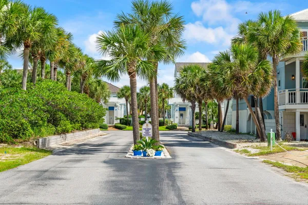 a street with palm trees