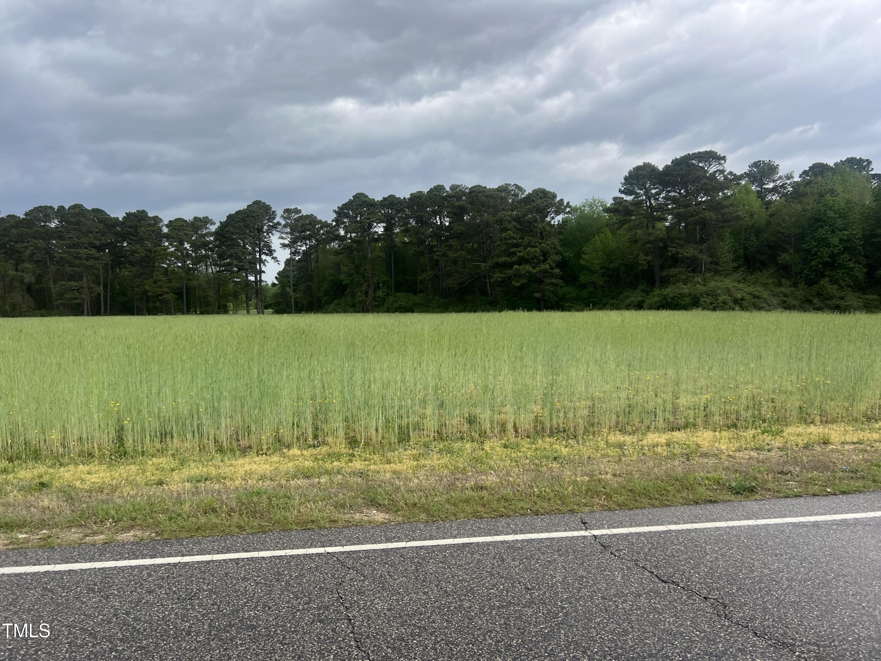 499 Partin Road Dunn, NC 28334 - Photo 2 of 3 a view of a field with a yard