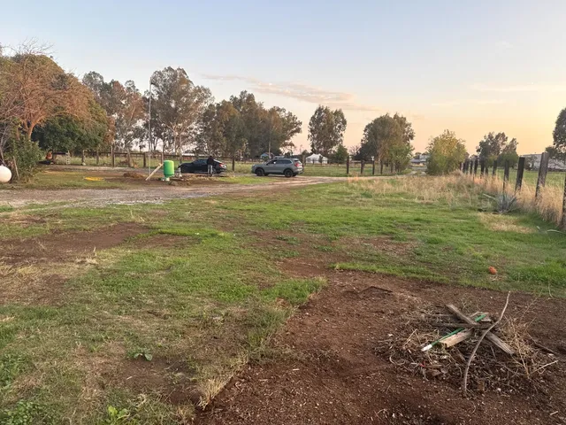 a view of a field with an trees