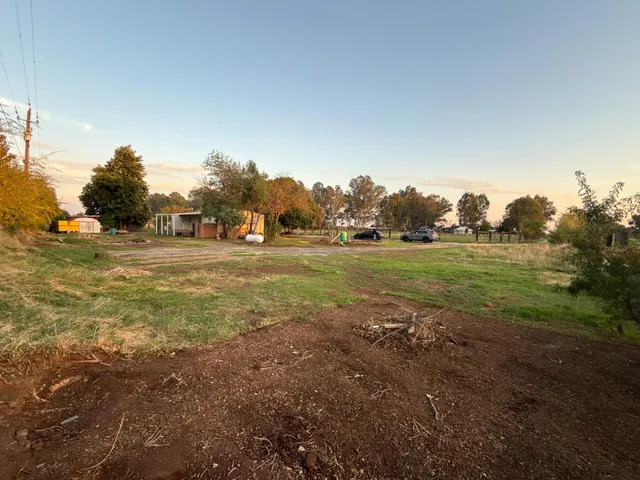 a view of road with trees
