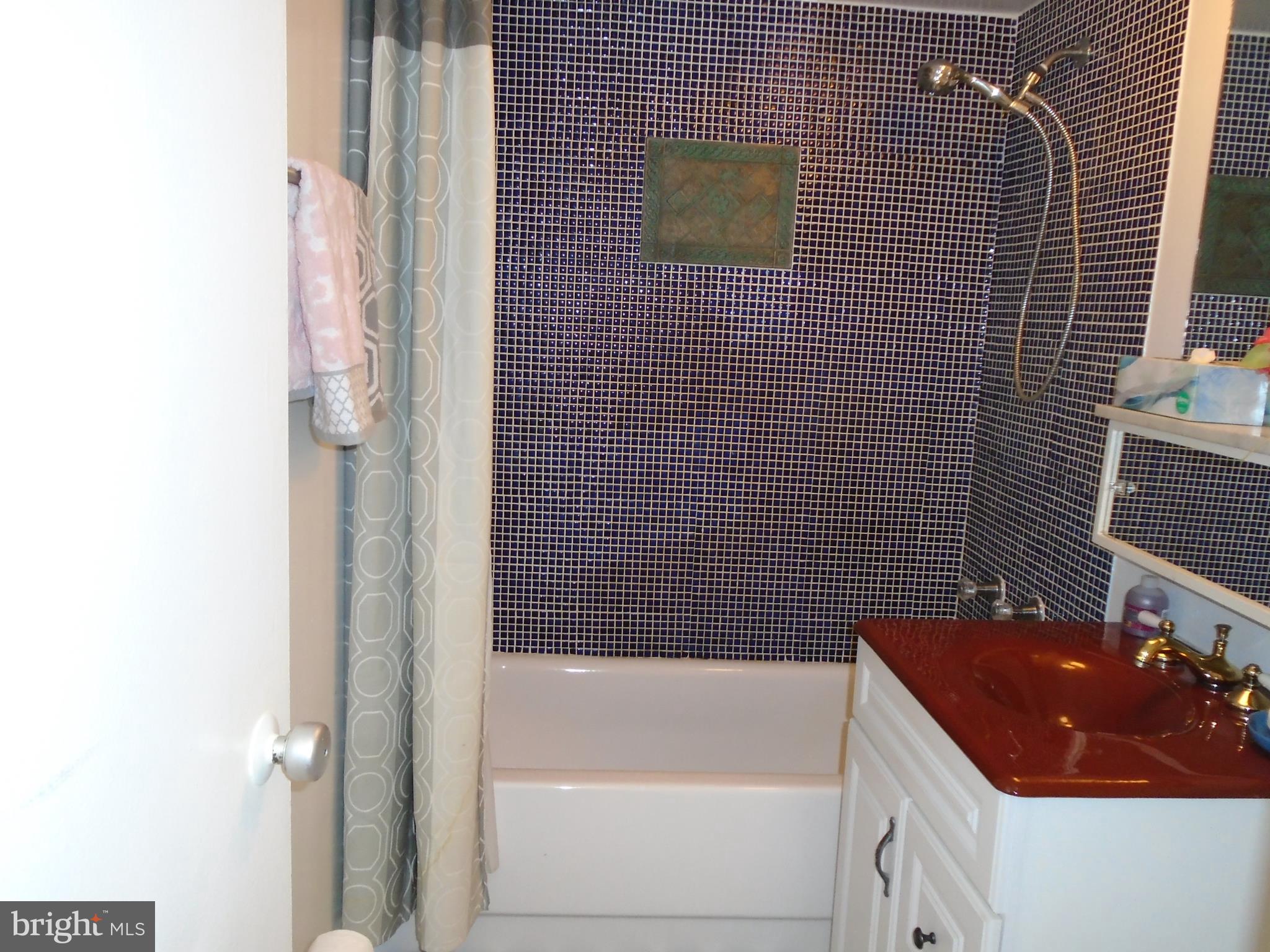 1250 4th Street Southwest, Unit W403 Washington, DC 20024 - Photo 10 of 41 a bathroom with a sink and a bathtub
