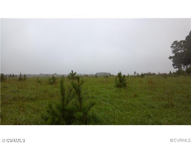 Exterior Front - 12.1 Acres cleared with 300 foot of road frontage