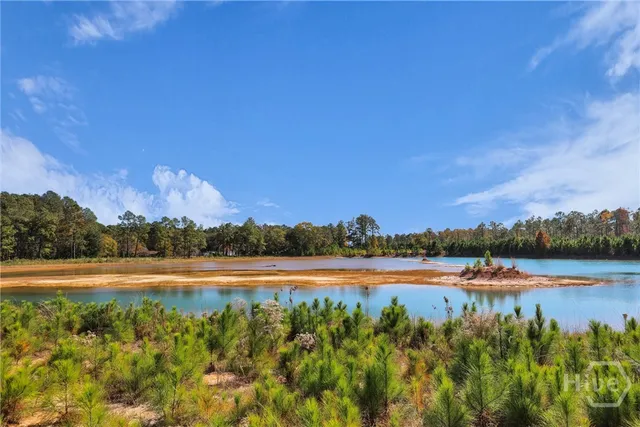 $582,200 | 965 Old Olive Branch Road, Ellabell, GA 31308