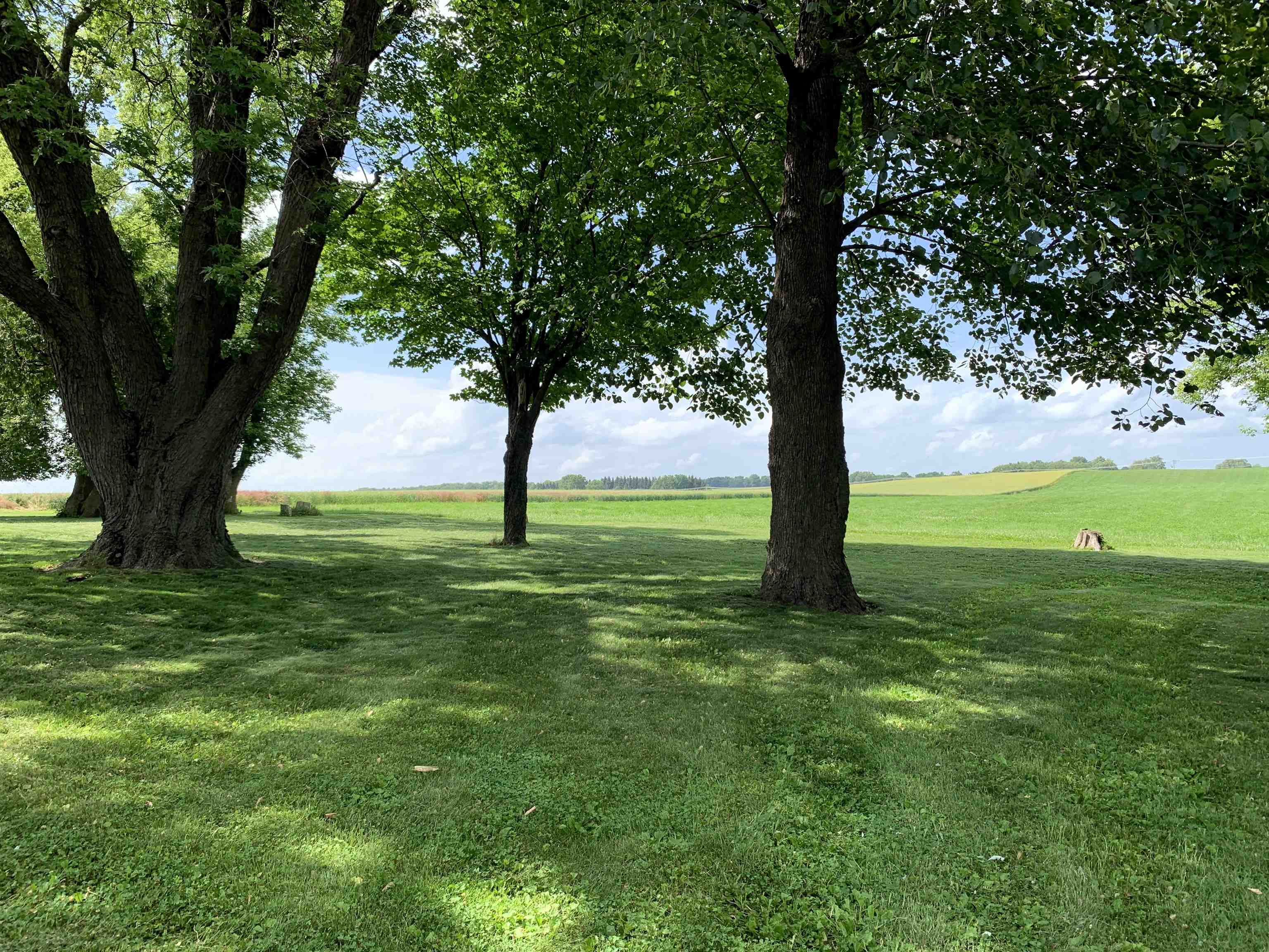 N3011 Mickelson Road Fall River, WI 53932 - Photo 36 of 40