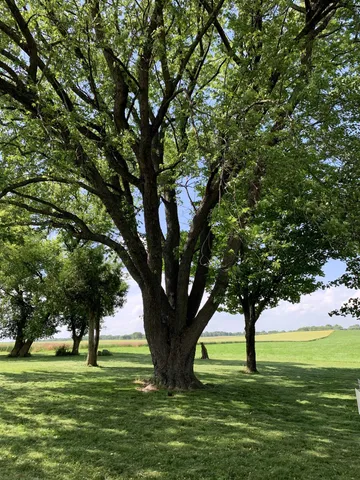 $289,000 | N3011 Mickelson Road, Fall River, WI 53932