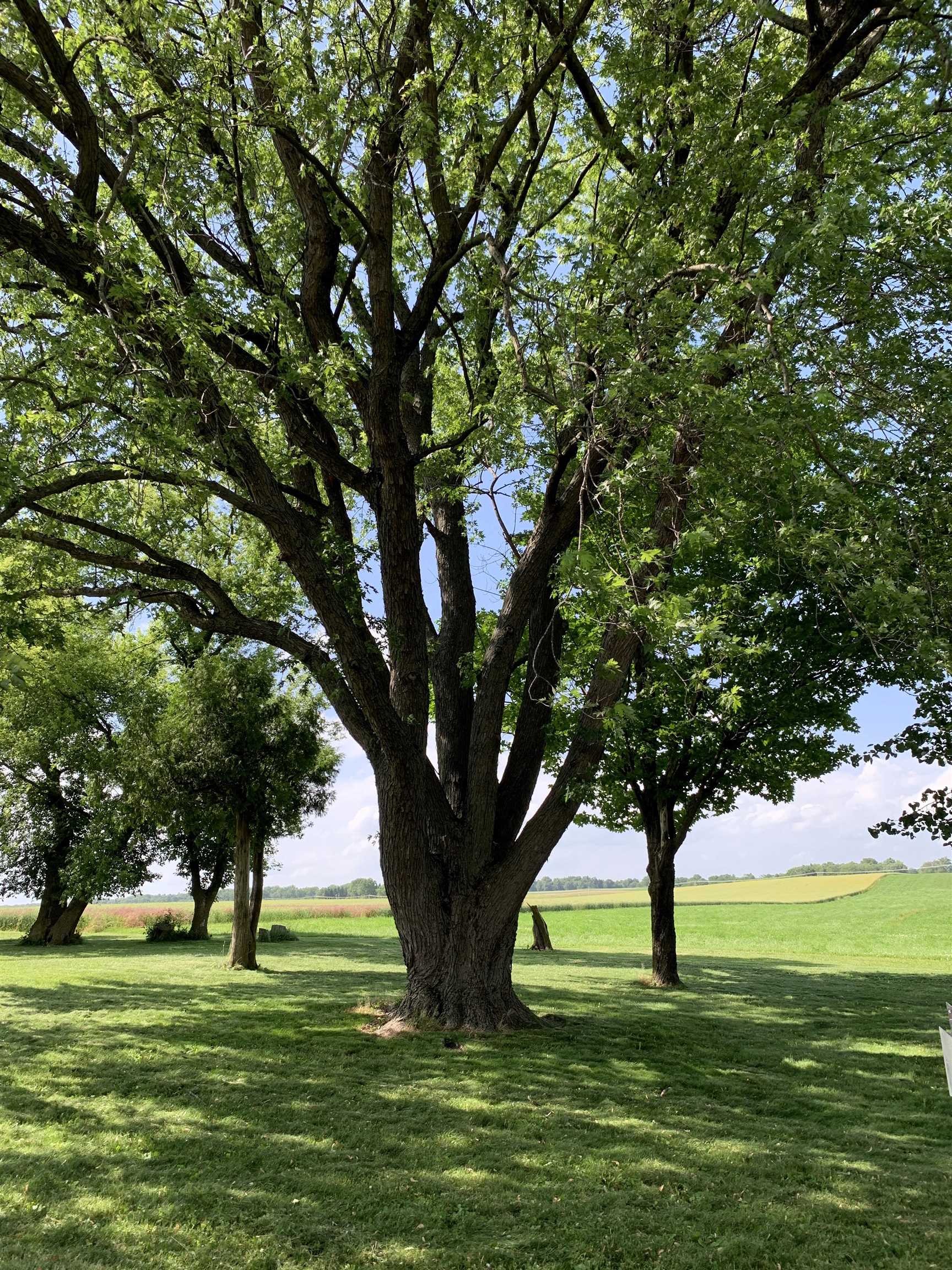 N3011 Mickelson Road Fall River, WI 53932 - Photo 37 of 40