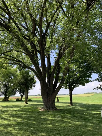 $289,000 | N3011 Mickelson Road, Fall River, WI 53932