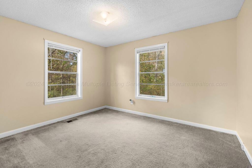 3889 Country Road Jasper, AL 35503 - Photo 21 of 24 Gallery Image 21
