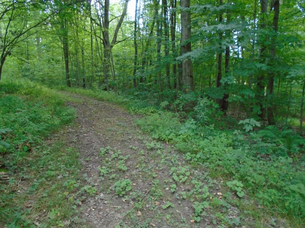 106 Lakeview Road Oxford, NY 13830 - Photo 15 of 20 Gallery Image 15