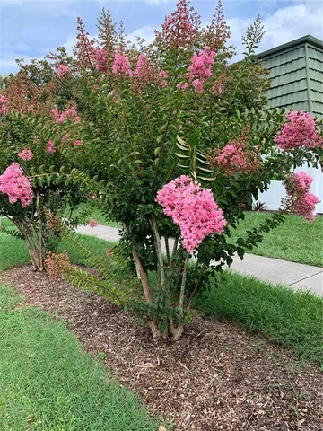 a view of a flower garden in a backyard
