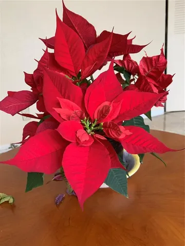 a view of an ocean and beach