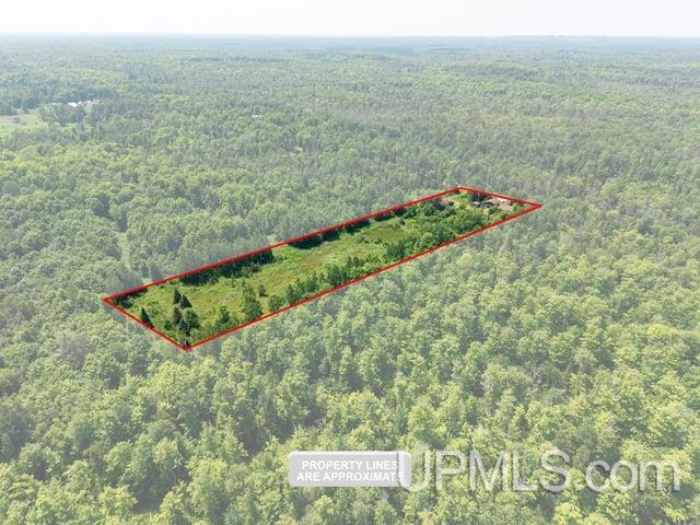 509 Dukes Road Skandia, MI 49885 - Photo 56 of 63
