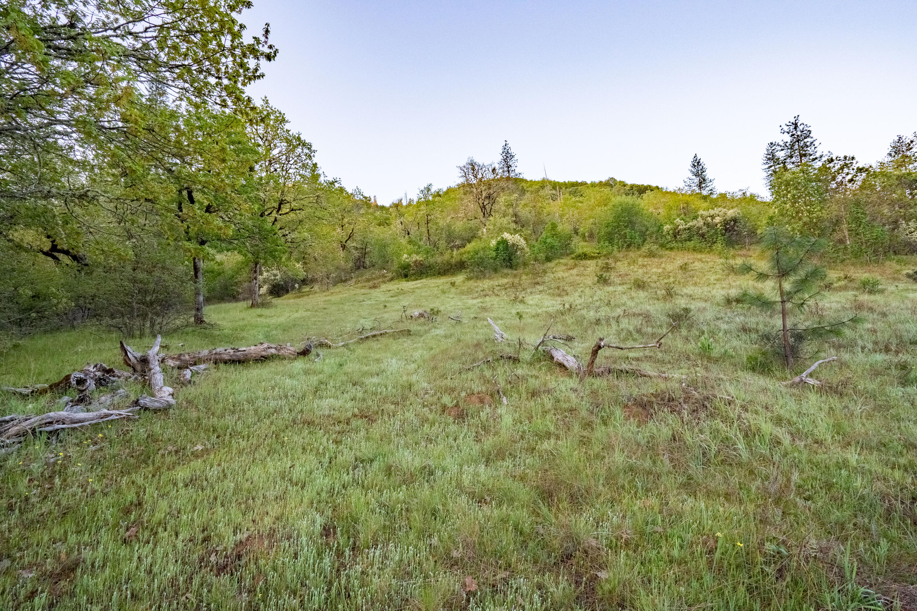 606 Wards Creek Road Rogue River, OR 97537 - Photo 63 of 73 DSC01509-HDR-2