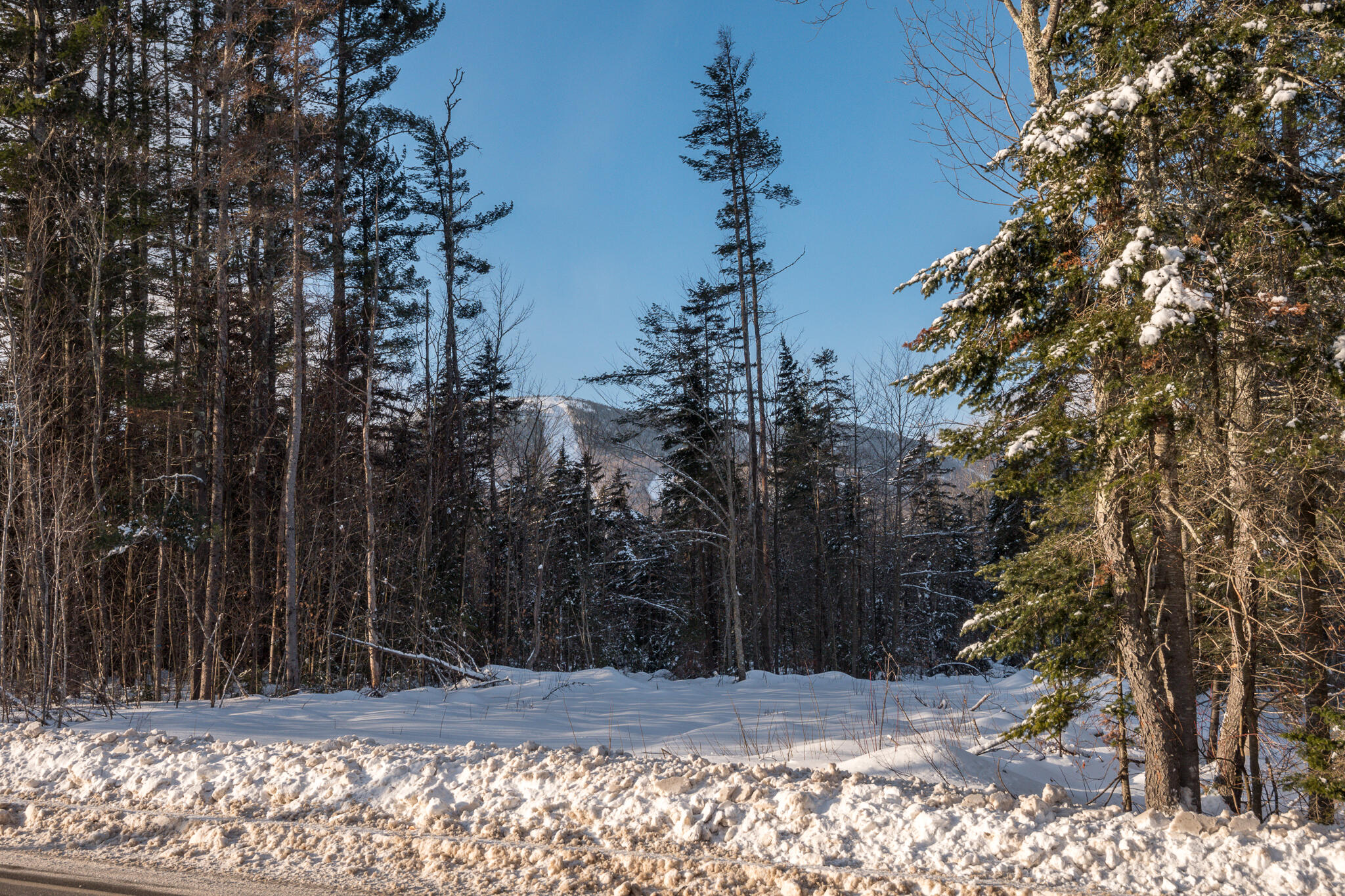 480 Sunday River Road Newry, ME 04261 - Photo 16 of 16 Webb Lots-1