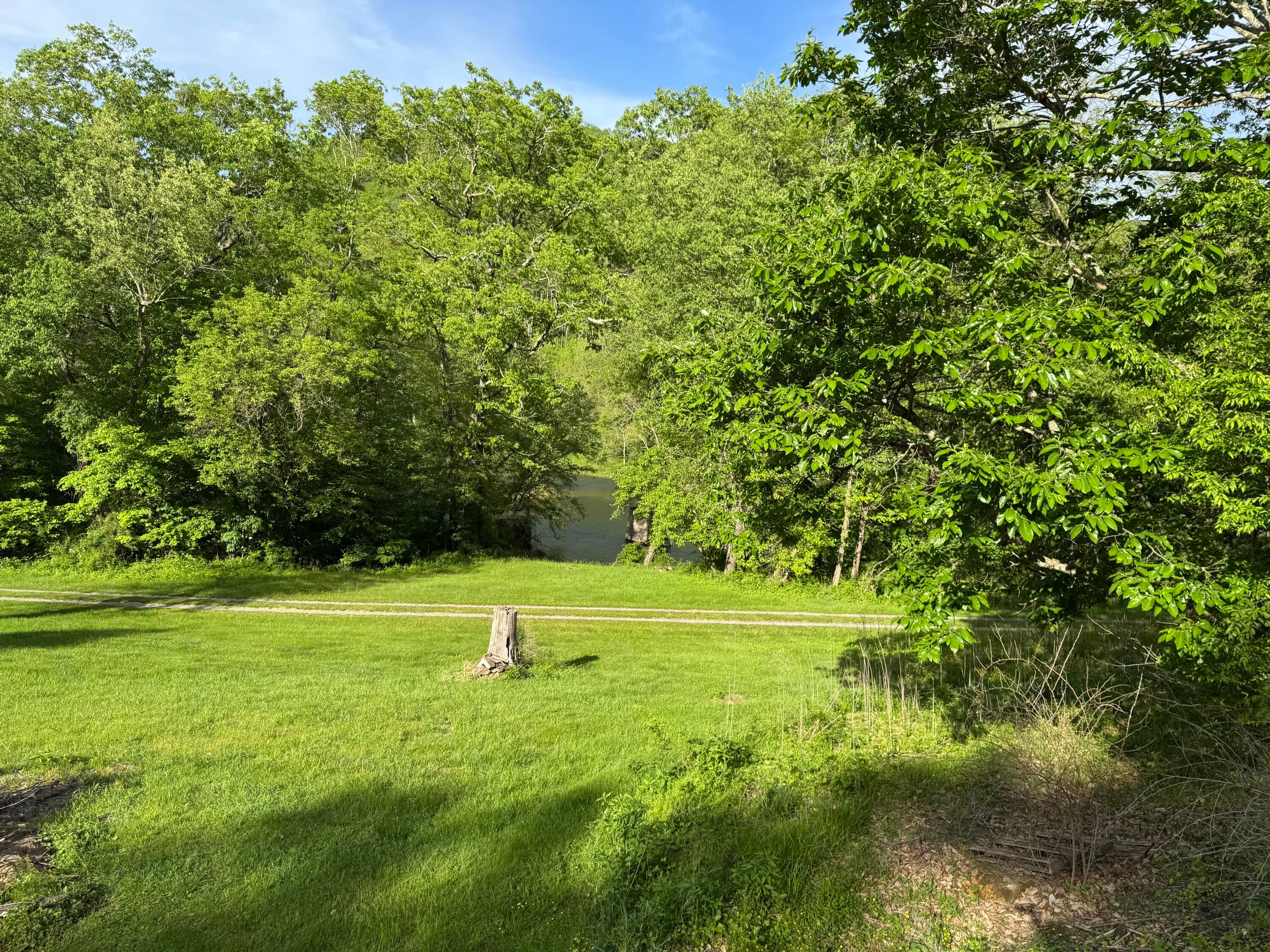 4235 Laurel Run Road Cass, WV 24927 - Photo 42 of 48 Gallery Image 42