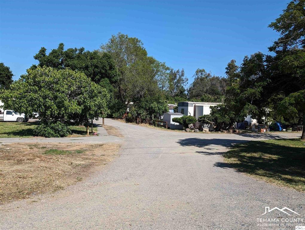 22519 Olivewood Road Corning, CA 96021 - Photo 3 of 4