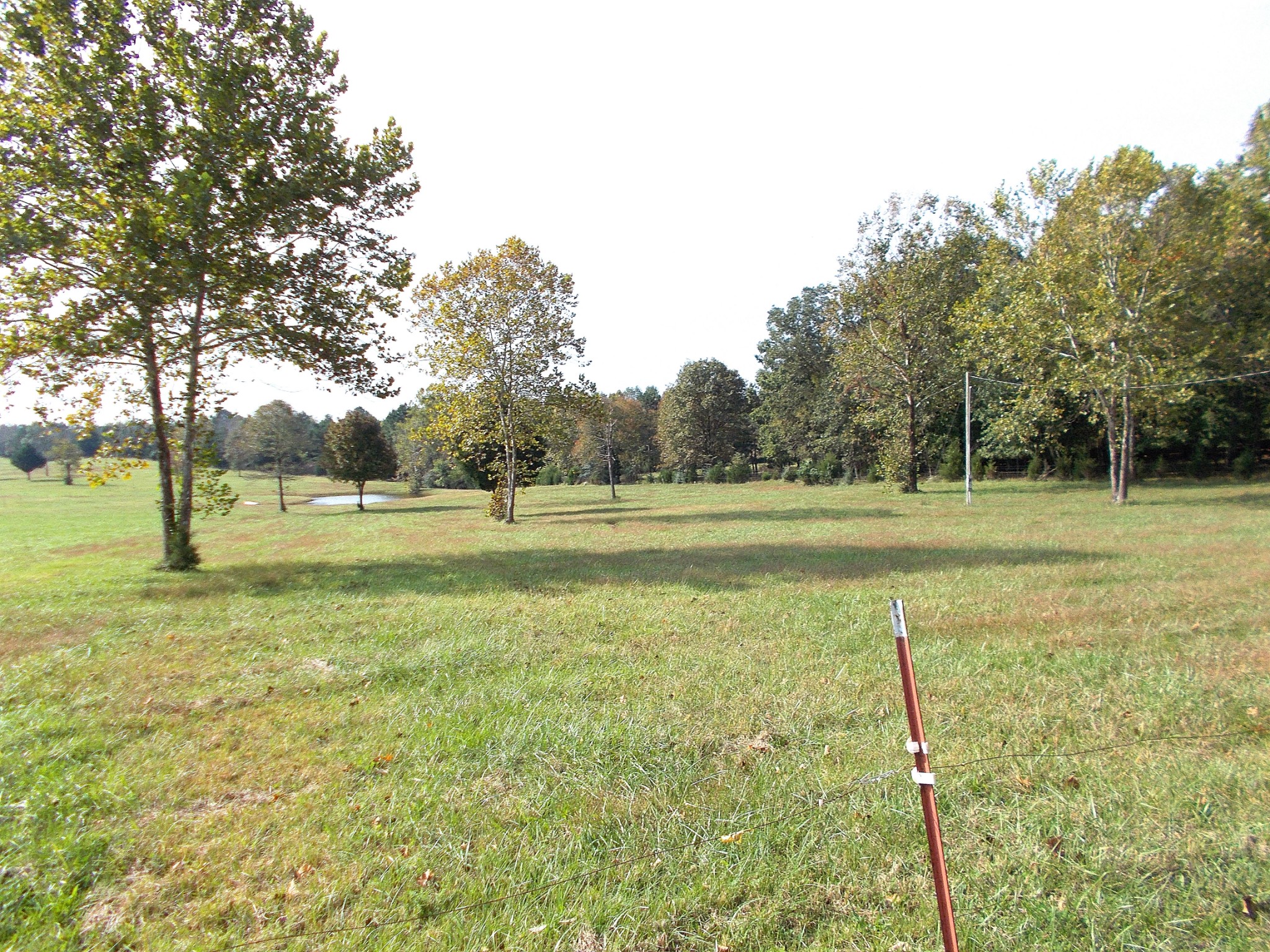 0 Keys Branch Road Nunnelly, TN 37137 - Photo 1 of 25 Gallery Image 1