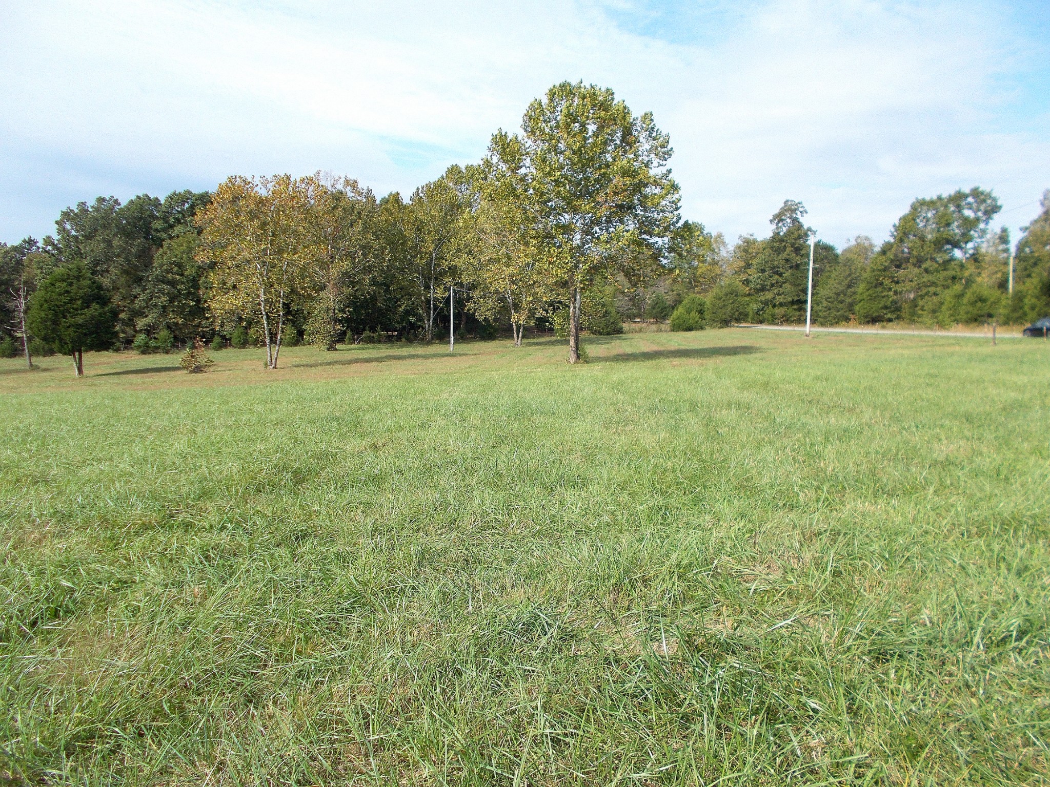 0 Keys Branch Road Nunnelly, TN 37137 - Photo 2 of 25 Gallery Image 2