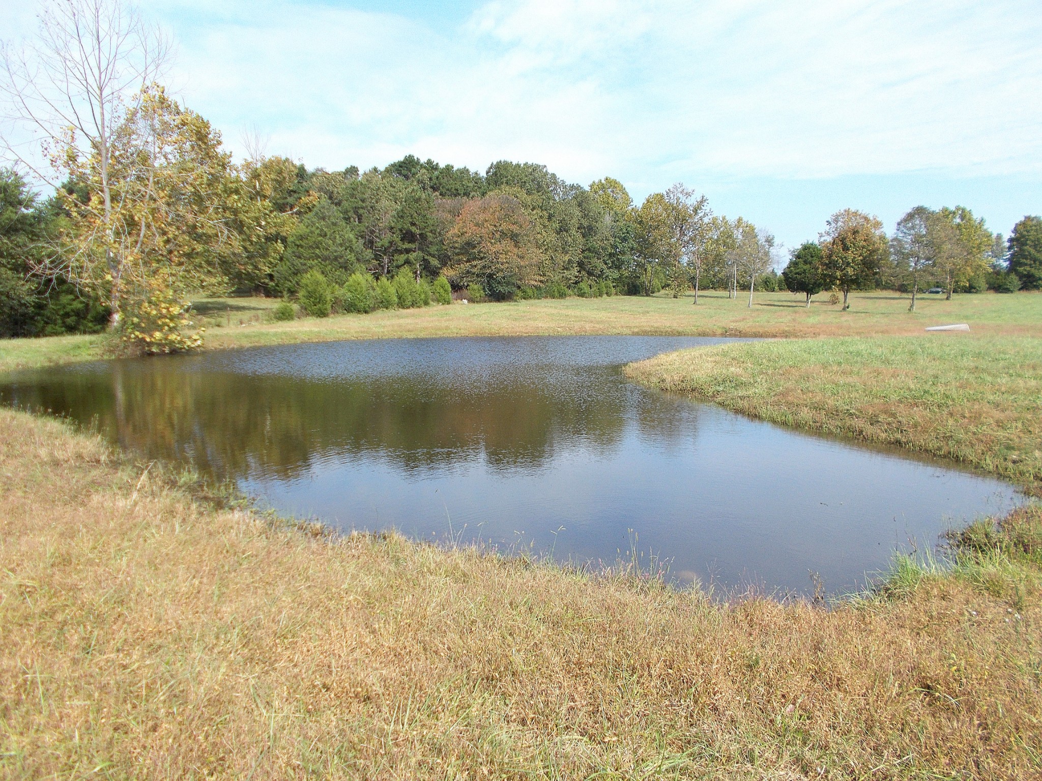 0 Keys Branch Road Nunnelly, TN 37137 - Photo 11 of 25 Gallery Image 11