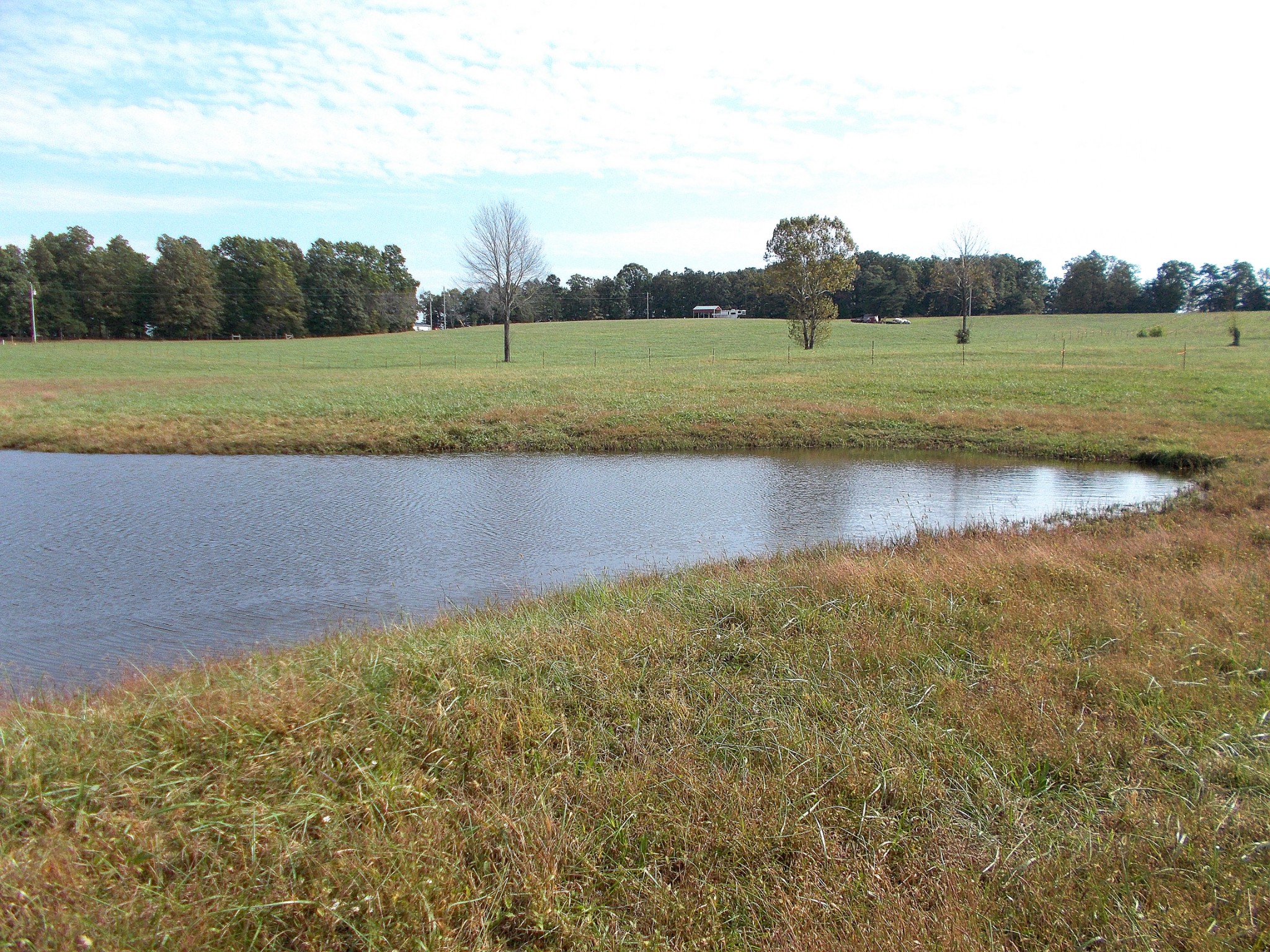 0 Keys Branch Road Nunnelly, TN 37137 - Photo 13 of 25 Gallery Image 13