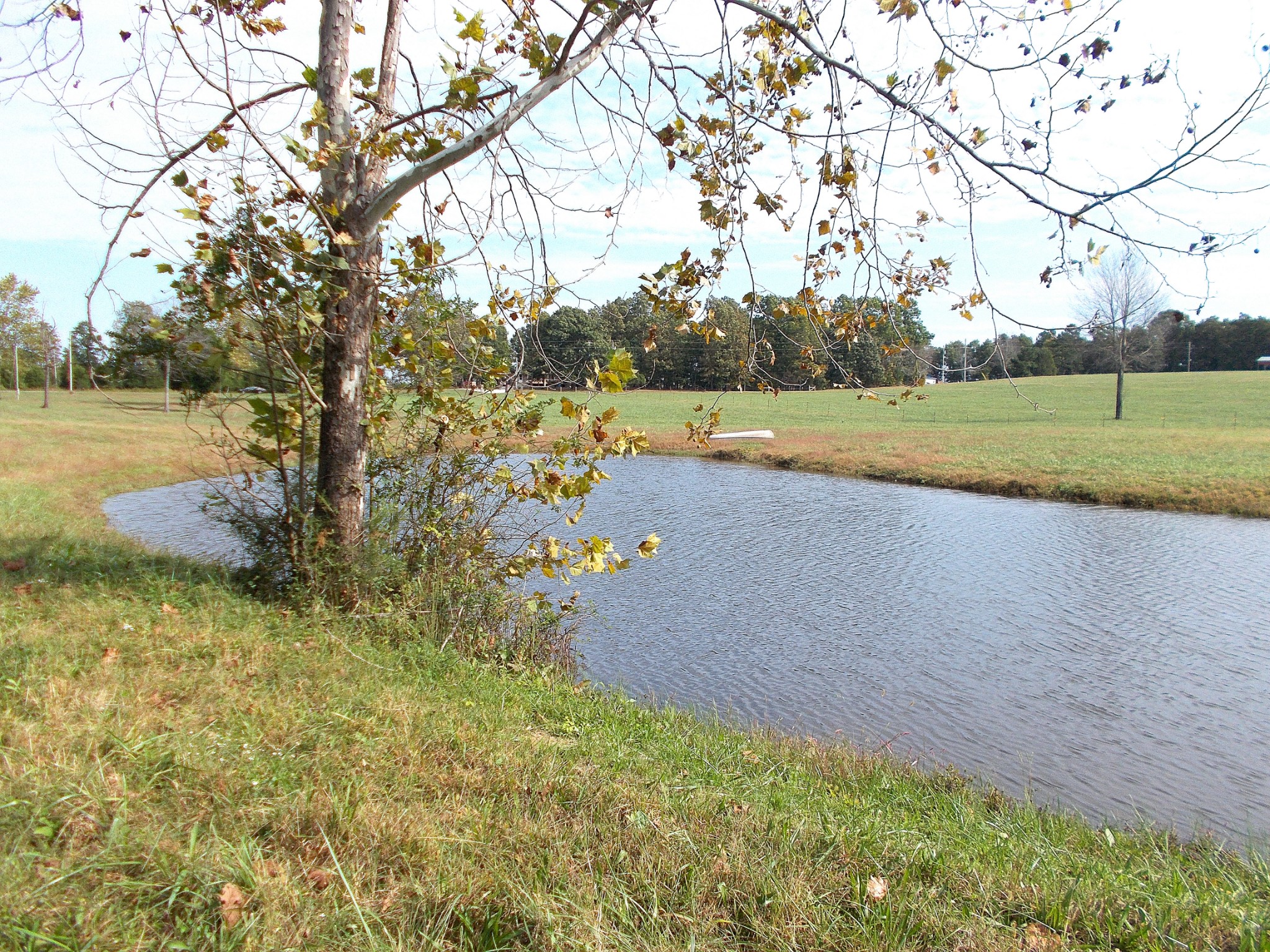 0 Keys Branch Road Nunnelly, TN 37137 - Photo 14 of 25 Gallery Image 14