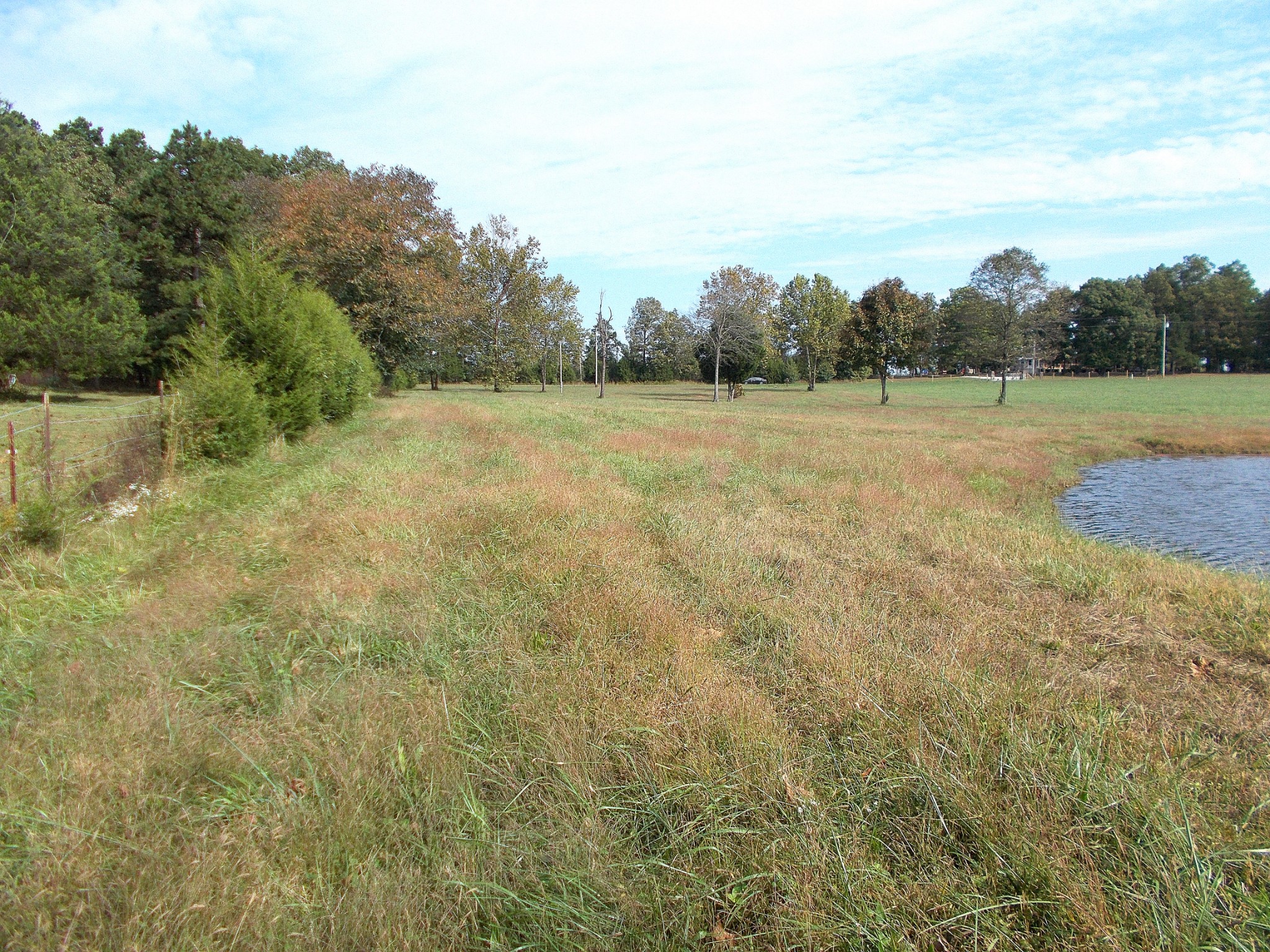 0 Keys Branch Road Nunnelly, TN 37137 - Photo 15 of 25 Gallery Image 15