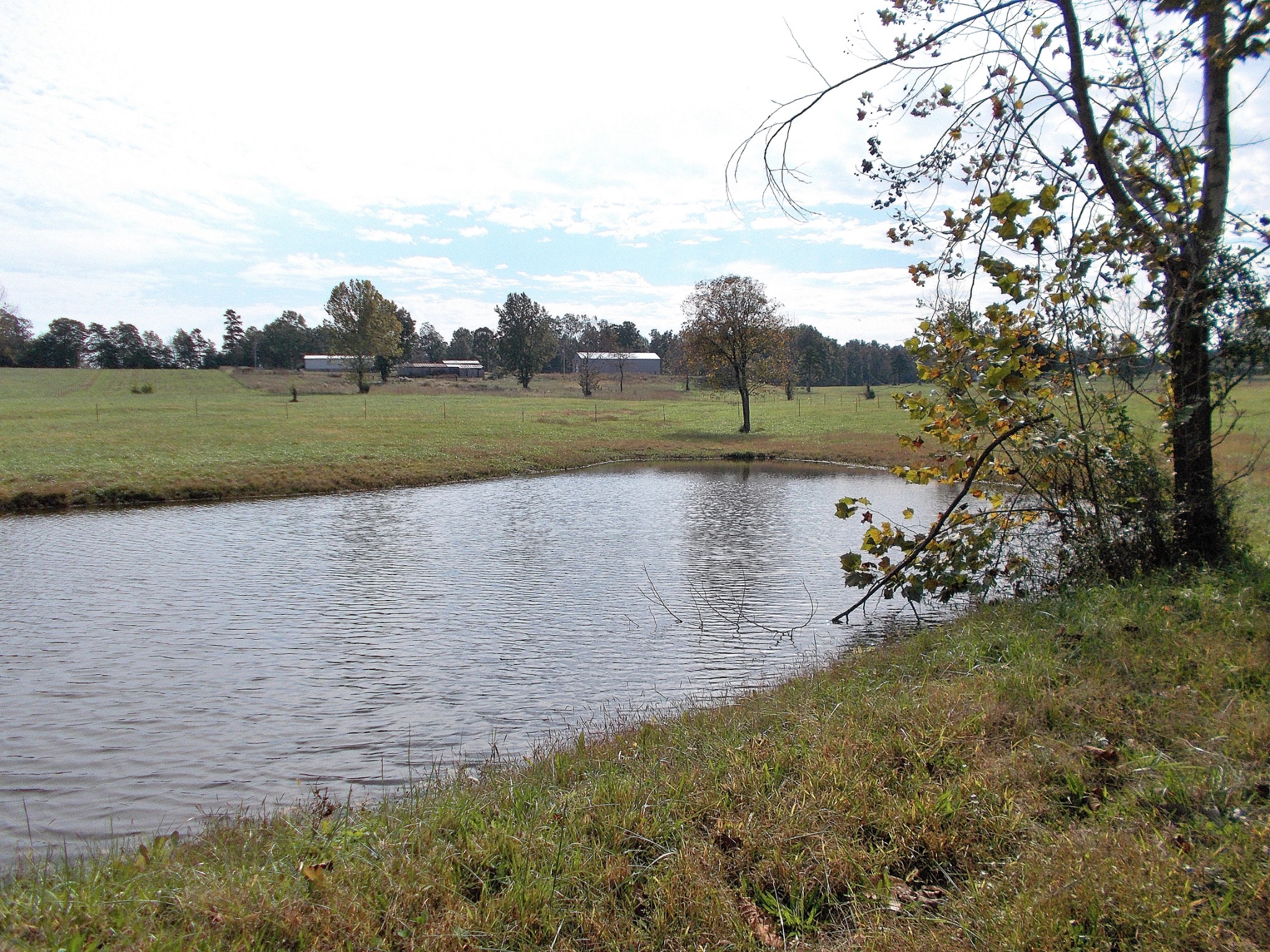 0 Keys Branch Road Nunnelly, TN 37137 - Photo 16 of 25 Gallery Image 16