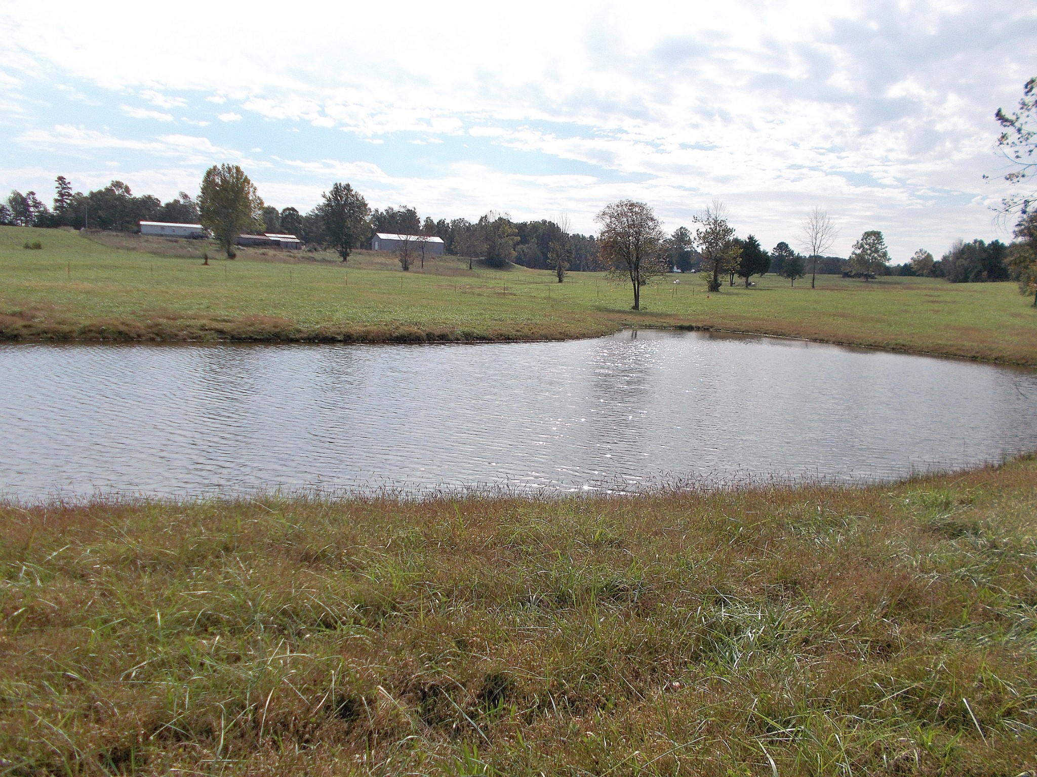 0 Keys Branch Road Nunnelly, TN 37137 - Photo 17 of 25 Gallery Image 17
