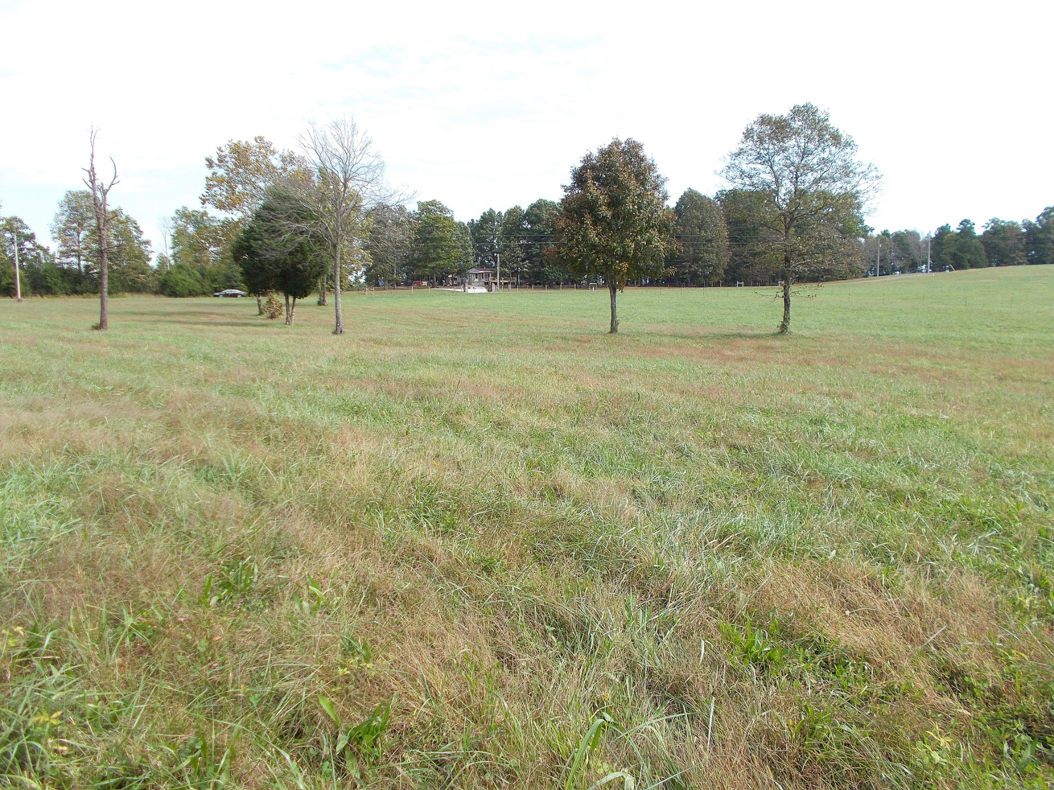 0 Keys Branch Road Nunnelly, TN 37137 - Photo 18 of 25 Gallery Image 18