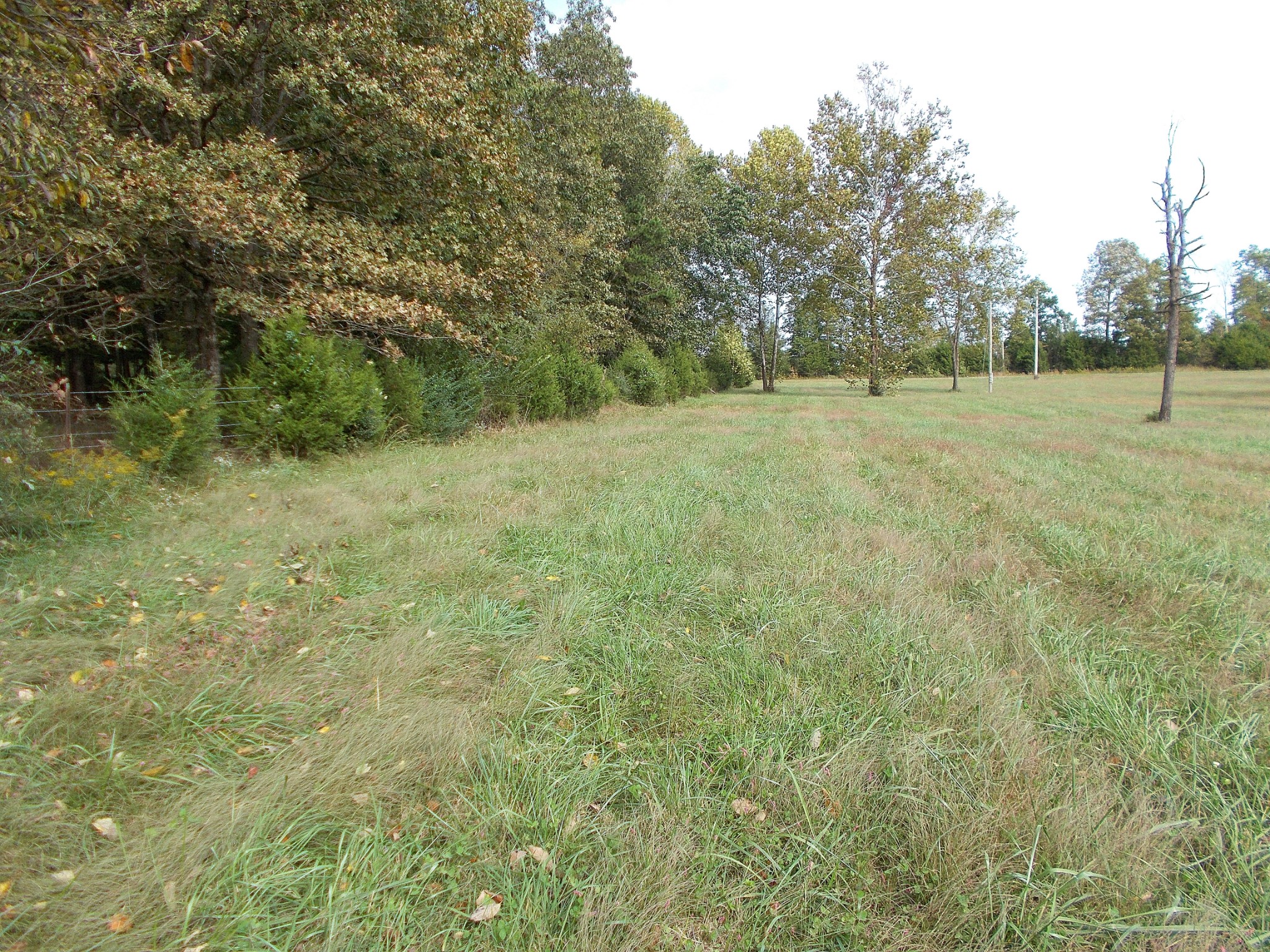 0 Keys Branch Road Nunnelly, TN 37137 - Photo 19 of 25 Gallery Image 19