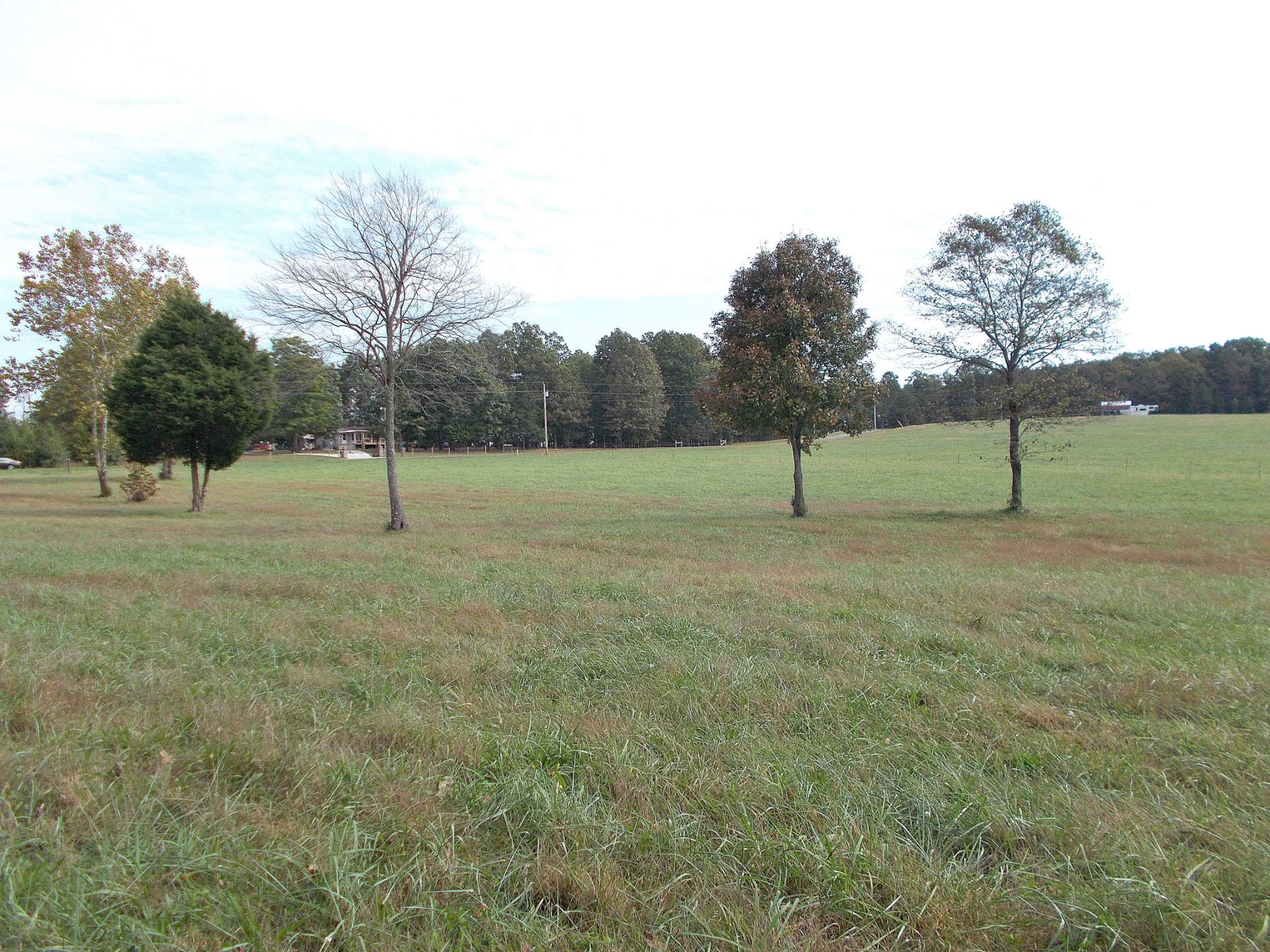 0 Keys Branch Road Nunnelly, TN 37137 - Photo 20 of 25 Gallery Image 20